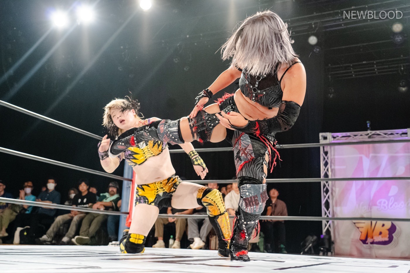 LINE_ALBUM_20240913NEWBLOOD中日ホール_240913_34