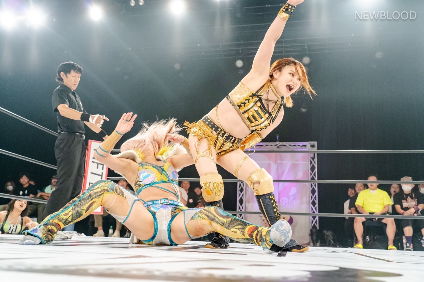 LINE_ALBUM_20240913NEWBLOOD中日ホール_240913_47