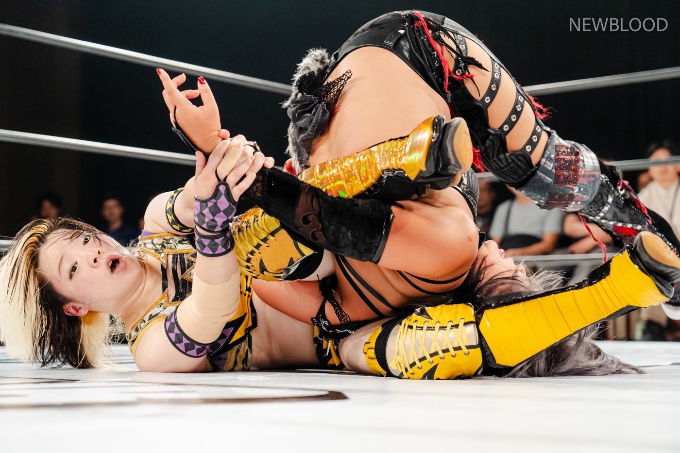 LINE_ALBUM_20240913NEWBLOOD中日ホール_240913_30