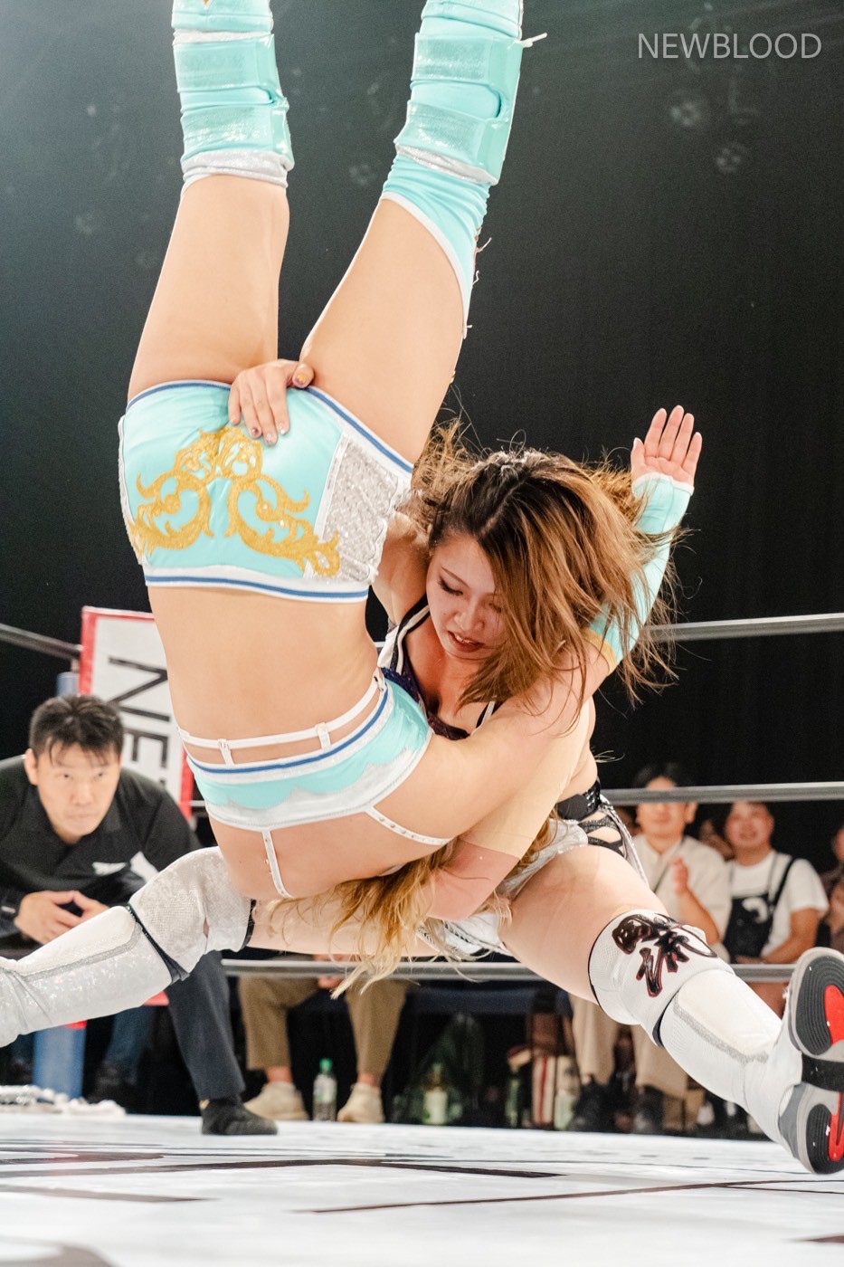 LINE_ALBUM_20240913NEWBLOOD中日ホール_240913_72