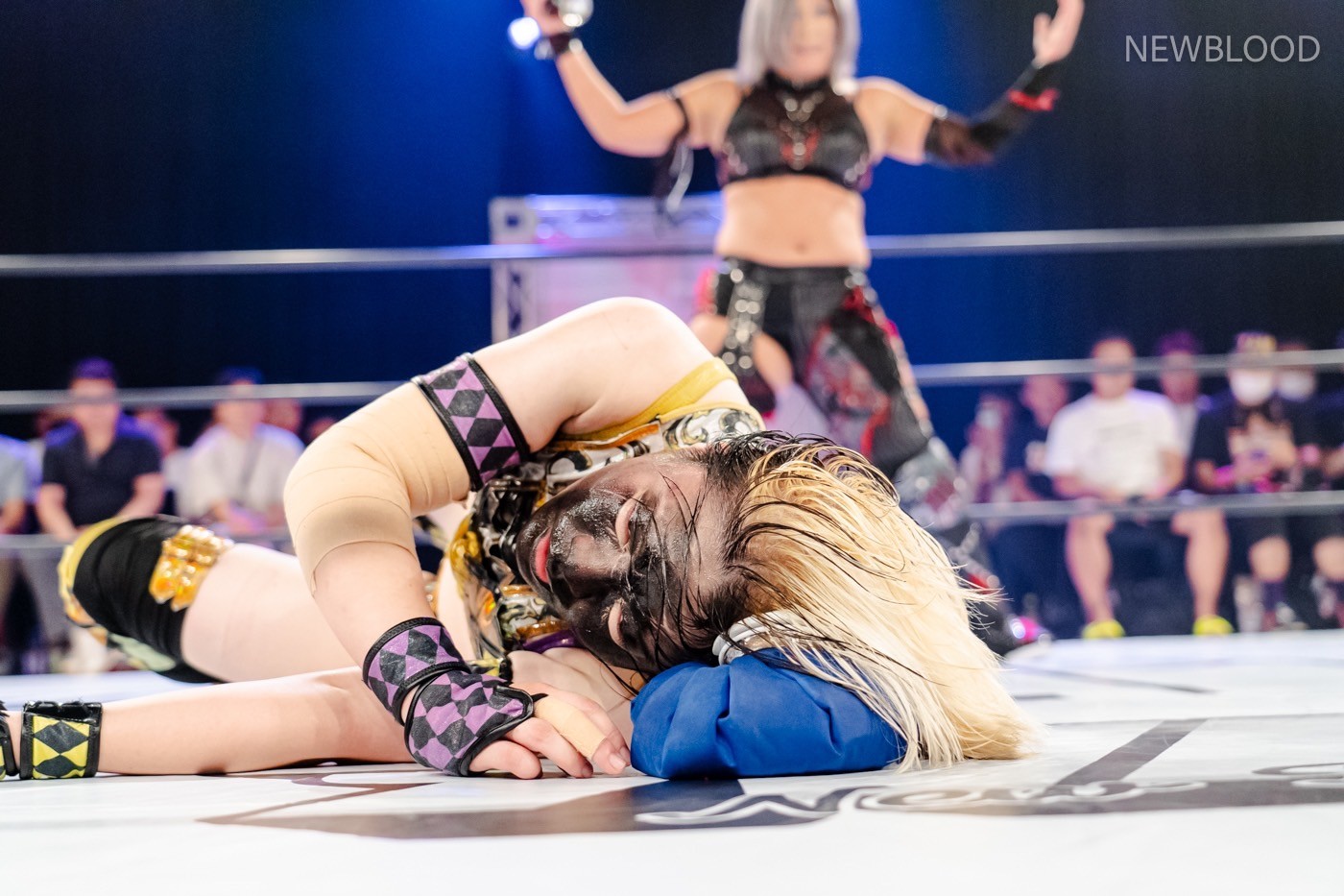 LINE_ALBUM_20240913NEWBLOOD中日ホール_240913_39