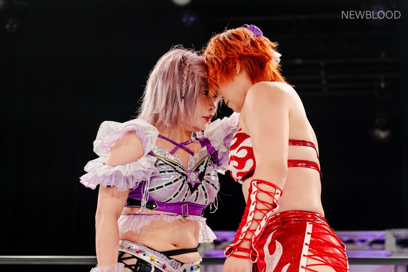 LINE_ALBUM_20240913NEWBLOOD中日ホール_240913_9