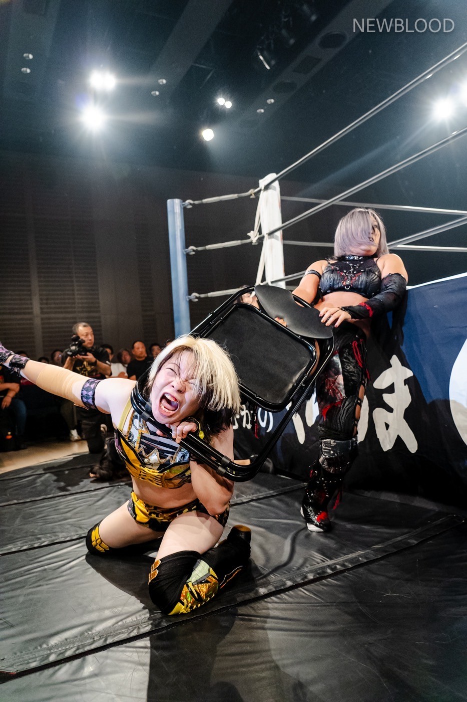 LINE_ALBUM_20240913NEWBLOOD中日ホール_240913_25