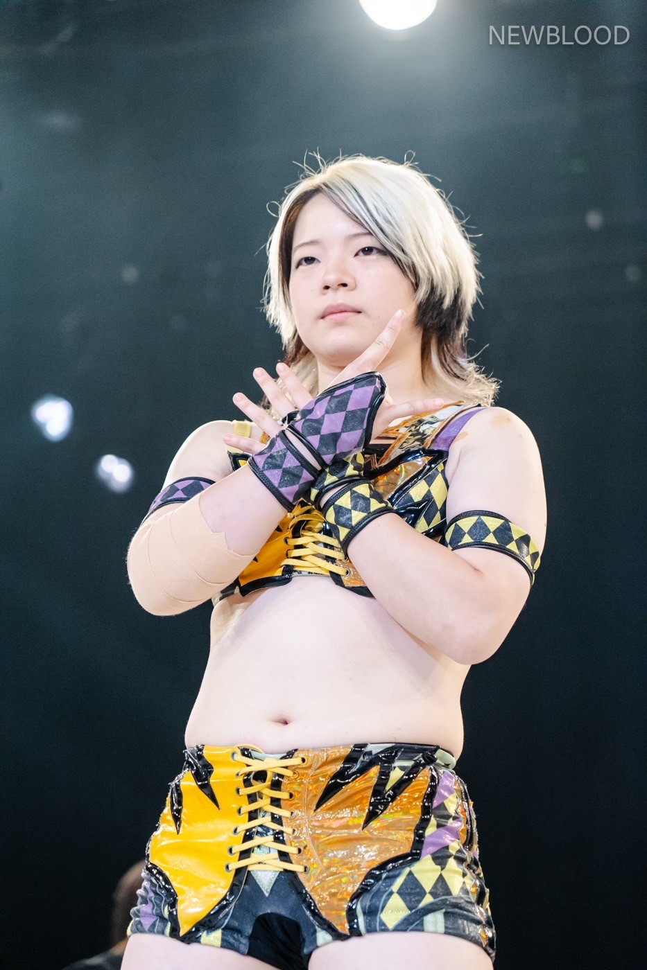 LINE_ALBUM_20240913NEWBLOOD中日ホール_240913_22