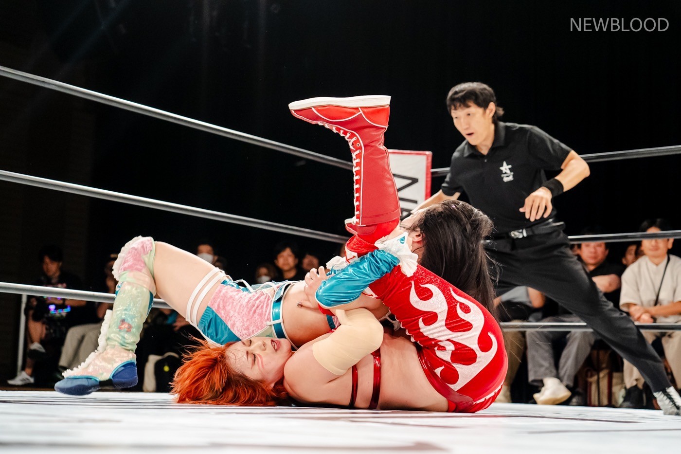 LINE_ALBUM_20240913NEWBLOOD中日ホール_240913_17