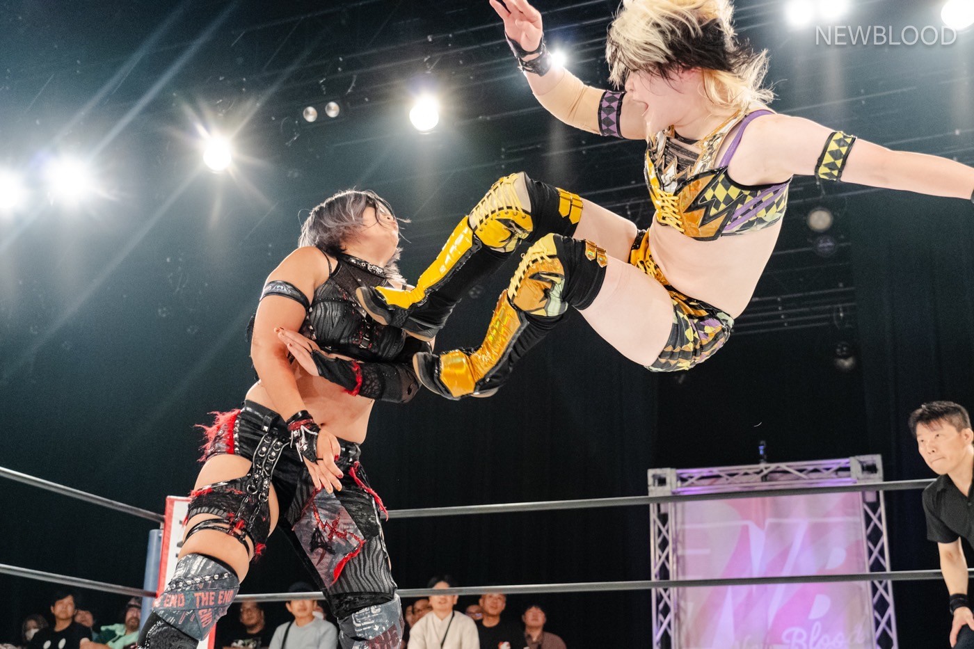 LINE_ALBUM_20240913NEWBLOOD中日ホール_240913_29