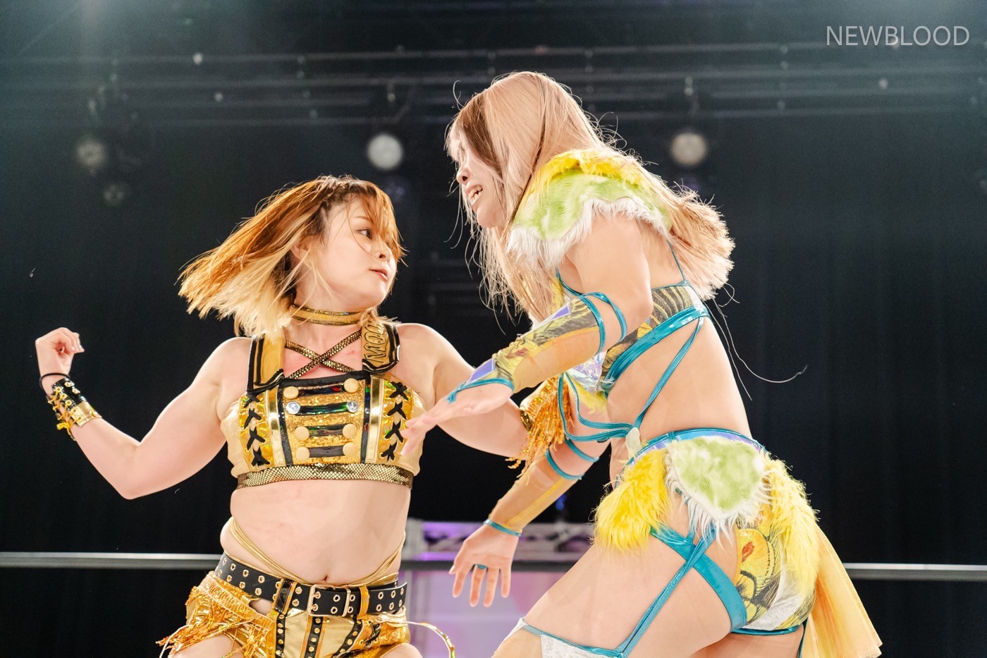 LINE_ALBUM_20240913NEWBLOOD中日ホール_240913_50