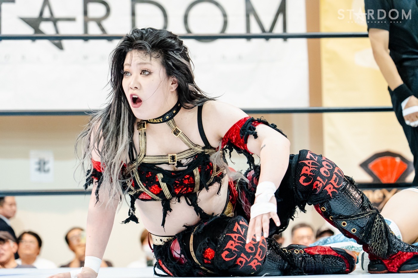 LINE_ALBUM_20241014ボルフォートとやま_241015_171