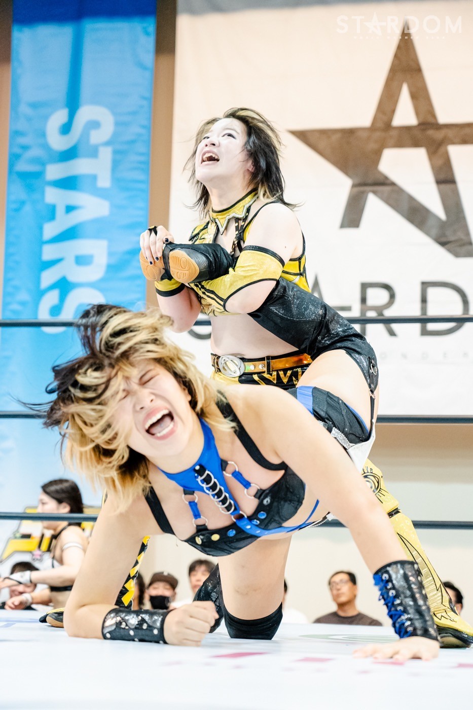 LINE_ALBUM_20241014ボルフォートとやま_241015_144