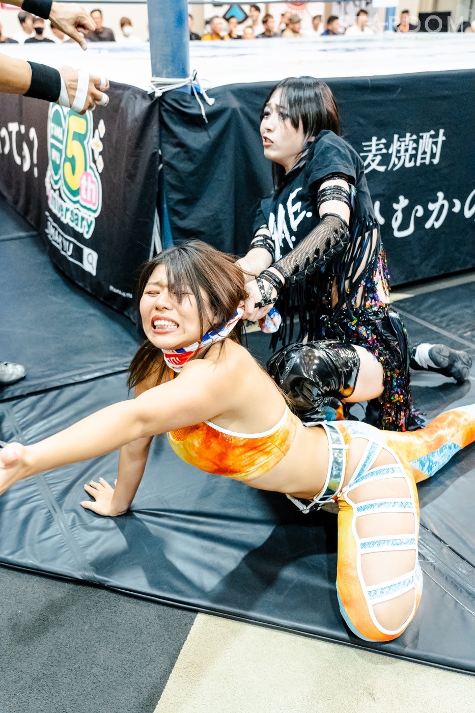 LINE_ALBUM_20241014ボルフォートとやま_241015_37