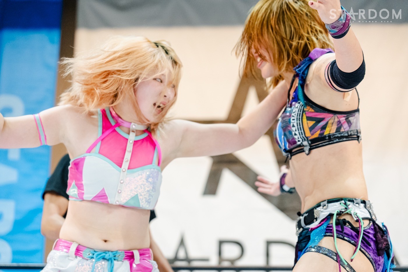 LINE_ALBUM_20241014ボルフォートとやま_241015_234