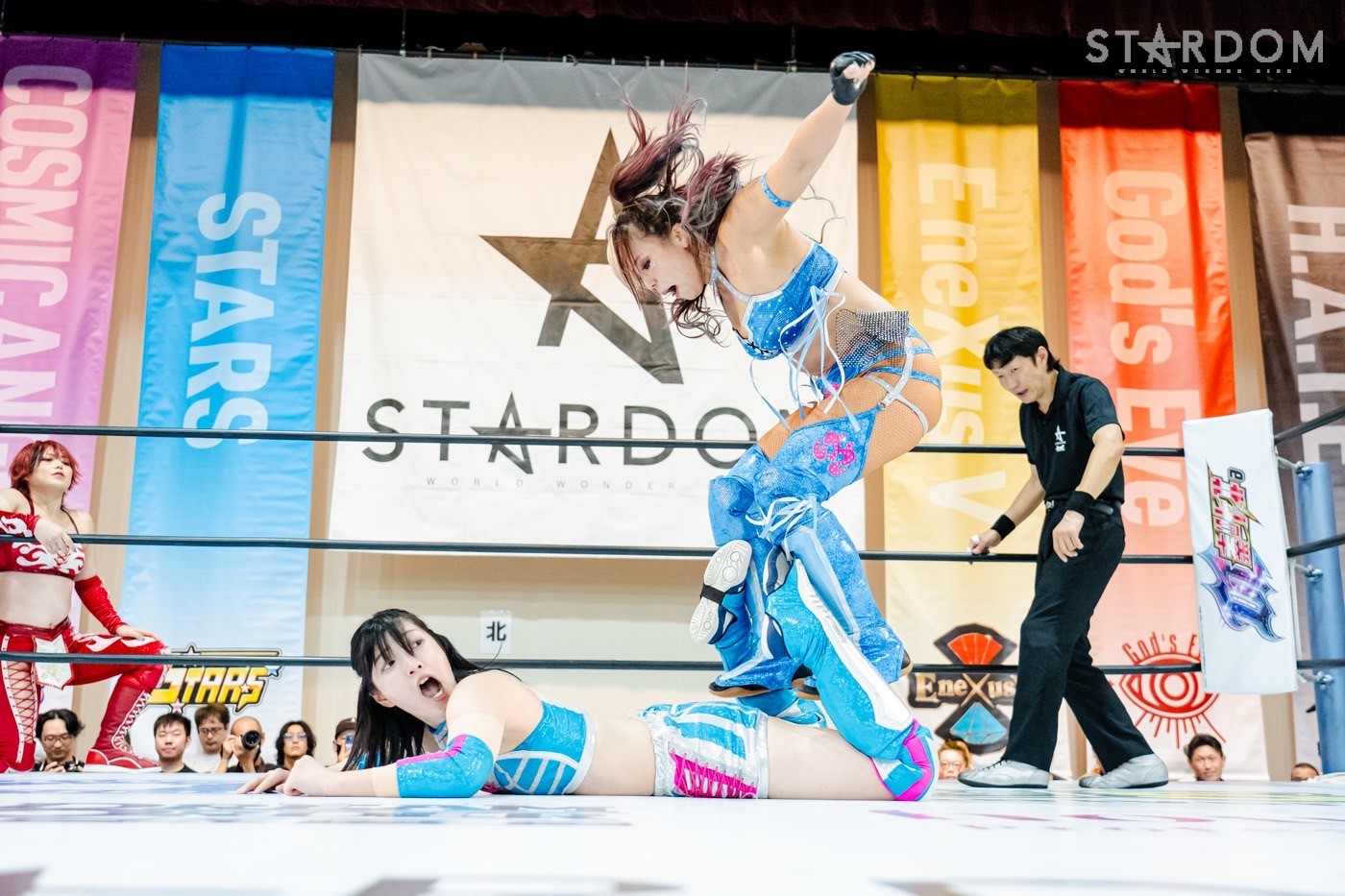 LINE_ALBUM_20241014ボルフォートとやま_241015_102