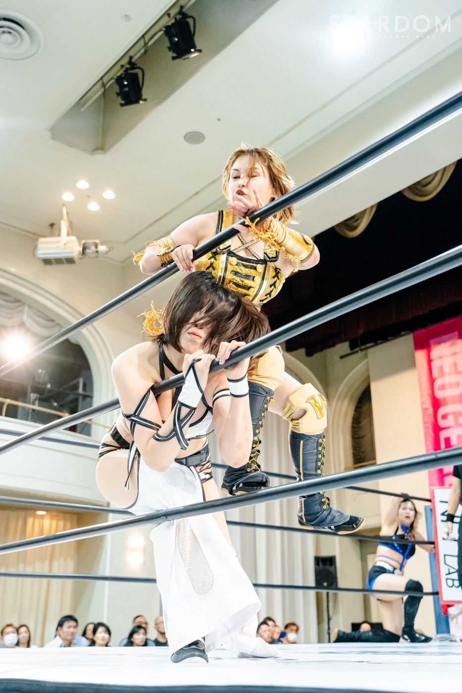 LINE_ALBUM_20241014ボルフォートとやま_241015_130