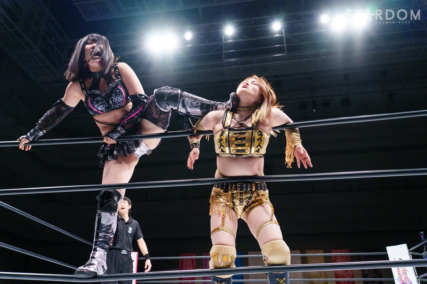 LINE_ALBUM_20241221名古屋国際会議場_241222_39