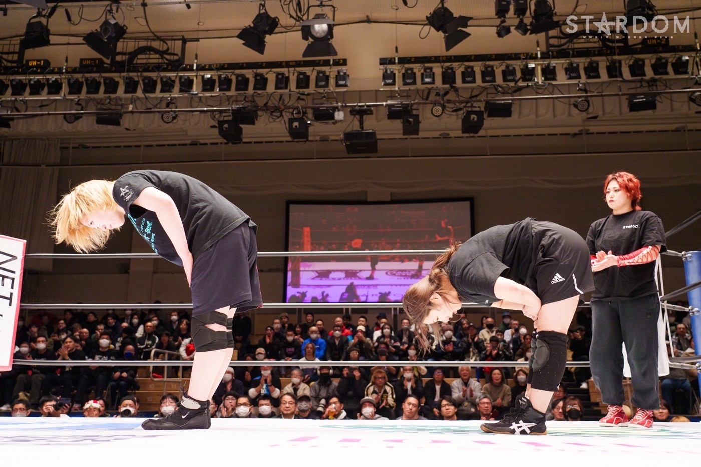 スターダム 2018年12月 興行ポスター ☆ 渡辺・林下 vs 鹿島・星輝