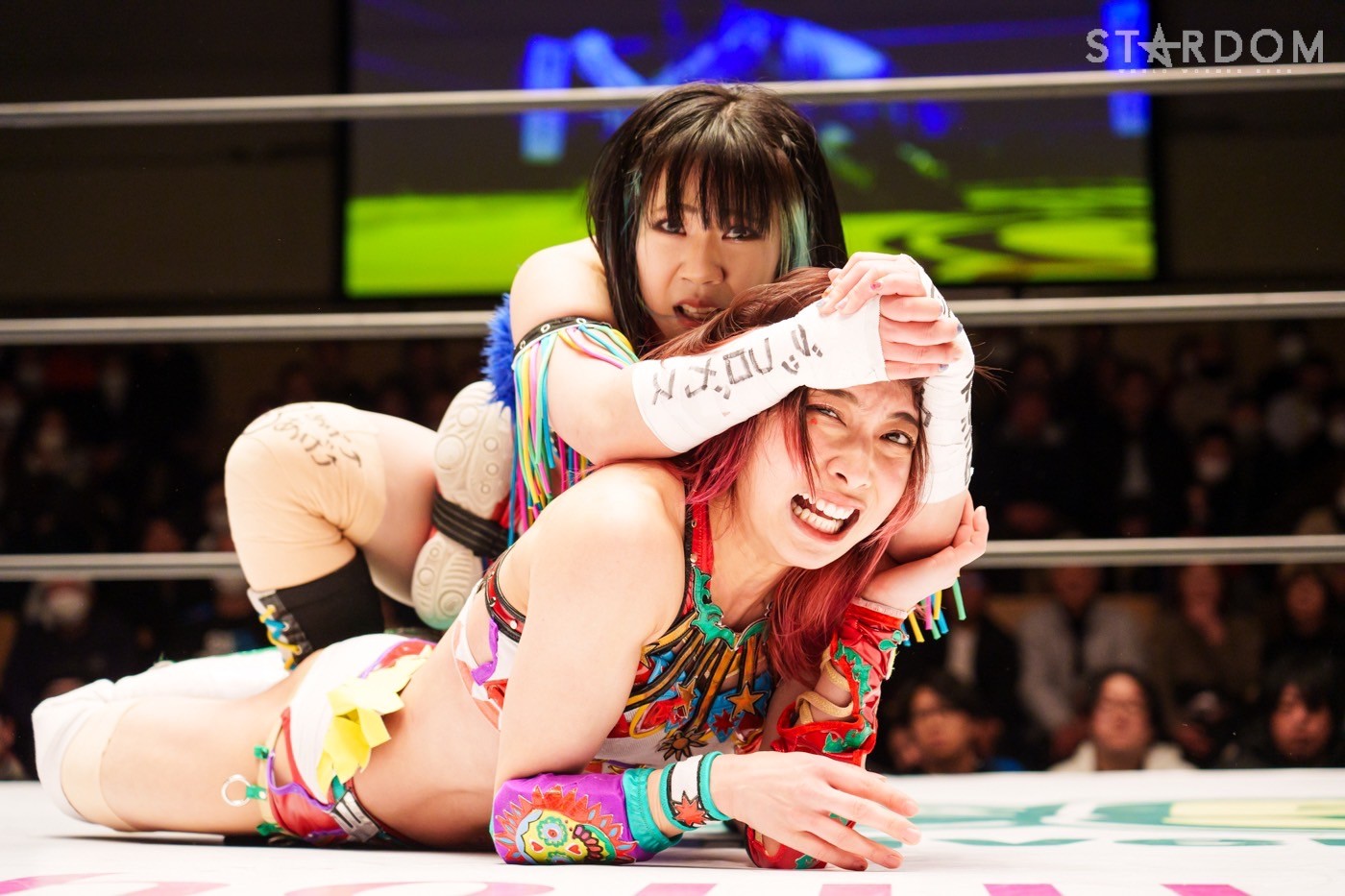 LINE_ALBUM_20241224後楽園_241225_229