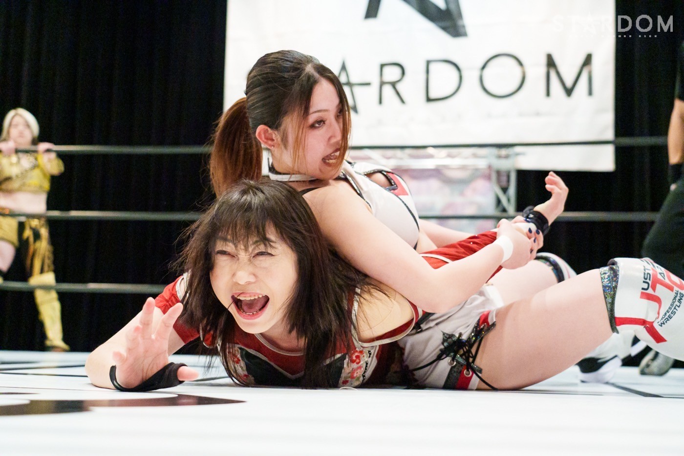 LINE_ALBUM_20241226ピアホール竹芝_241227_2