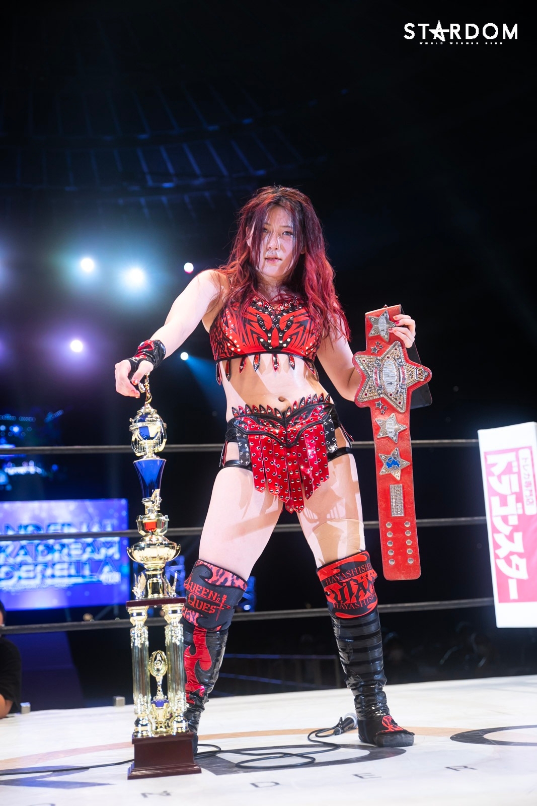 上質 スターダム STARDOM ミニタペストリー 葉月 revecap.com