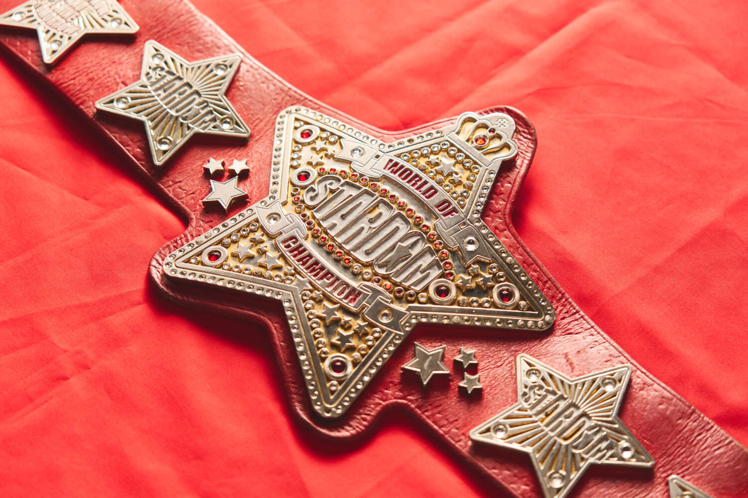 第21代 ワールド・オブ・スターダム チャンピオン