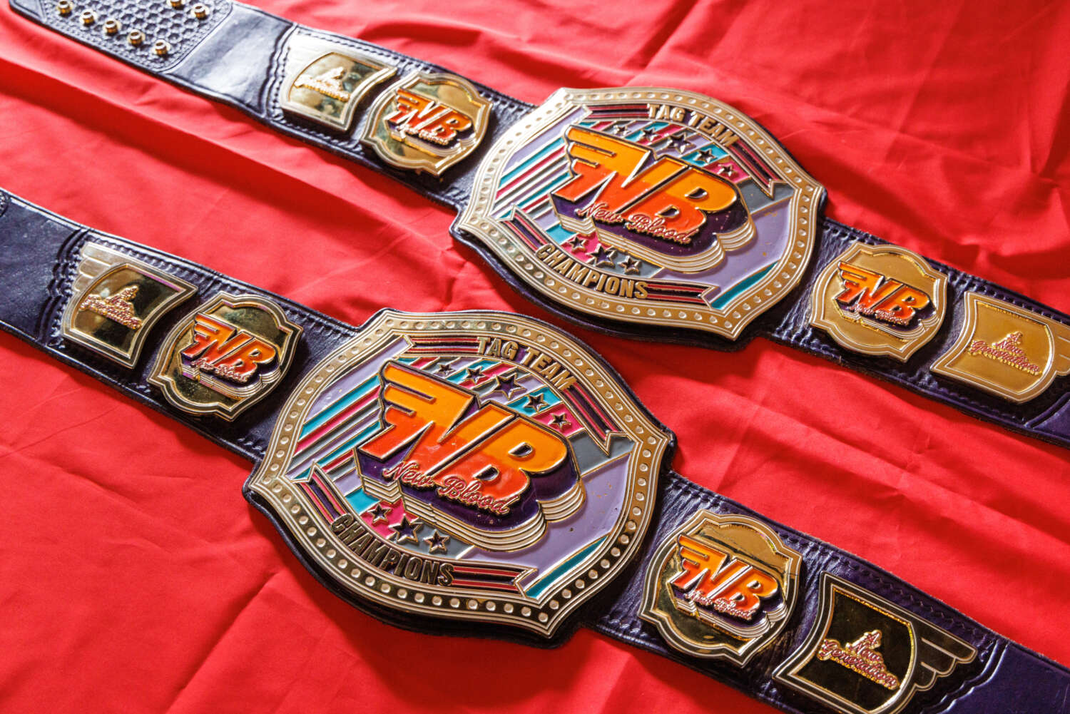 6th NEW BLOOD Tag Team Champions