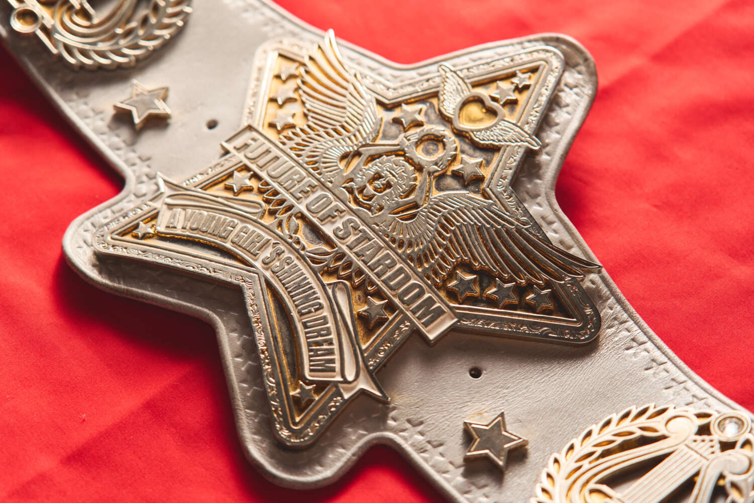 第14代 フューチャー・オブ・スターダム