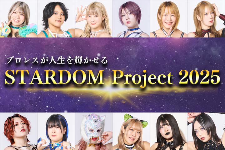 スターダム紫雷イオDVD スポーツ・フィットネス