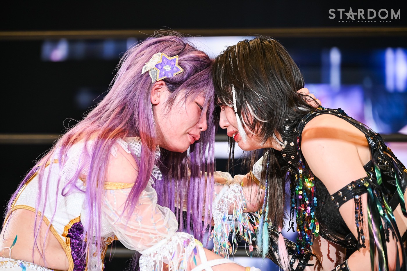 カードファイト!! ヴァンガード スターダム 女子プロレス 上谷沙弥 中野たむ Amazon.co.jp: カードファイト!! ヴァンガード スターダム 女子