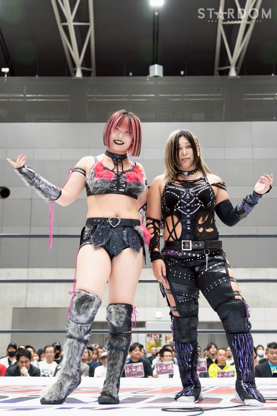 第17代 ジャングル叫女&刀羅ナツコ&米山香織 | スターダム✪STARDOM