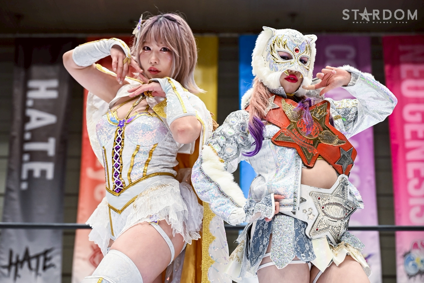 中野 たむ 上谷 沙弥 フィニッシュ賞 A4アクリルパネル くじ スターダム 中野 たむ 上谷 沙弥 フィニッシュ賞 A4アクリルパネル くじ