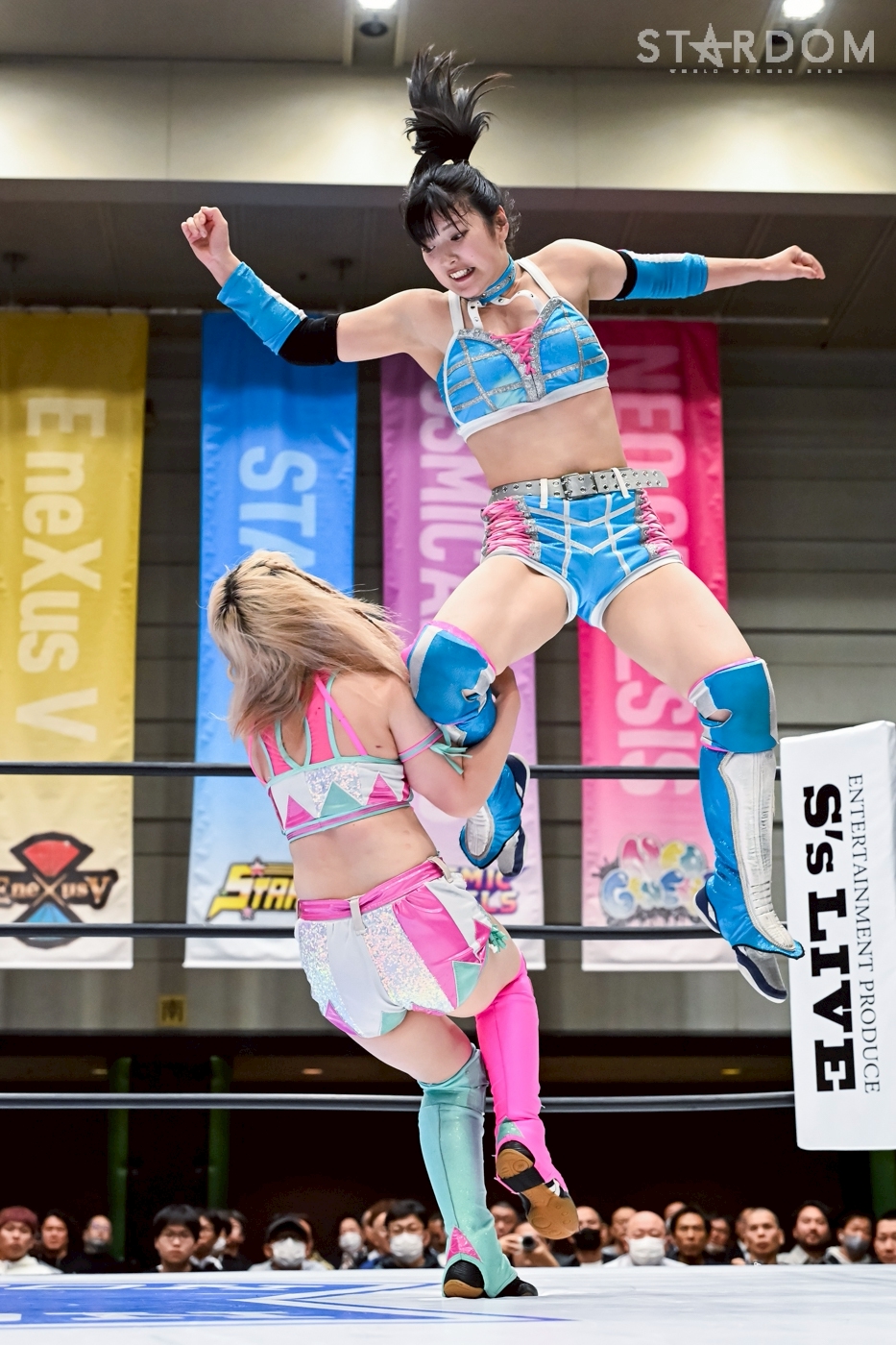 スターダム×メキシコ2014 イオ&麻優&カイリ&ユウナのルチャ体験 Amazon.co.jp: スターダム×メキシコ2014 イオ&麻優&カイリ