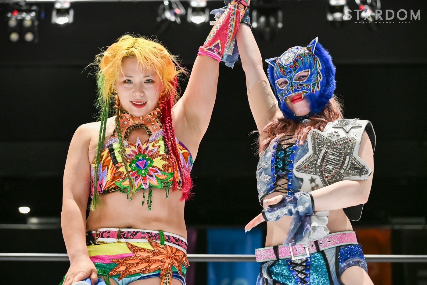 トレカ/スターダム コレクションカード2019 直筆サインカード