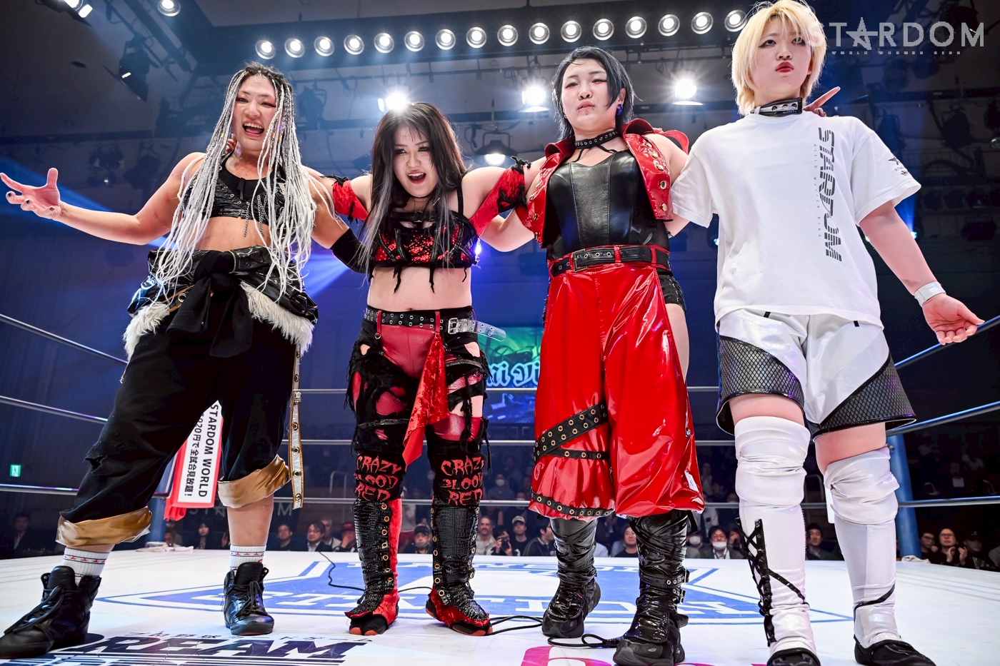 全対戦カード決定！】6月21日(土)代々木大会！ | ニュース | スター