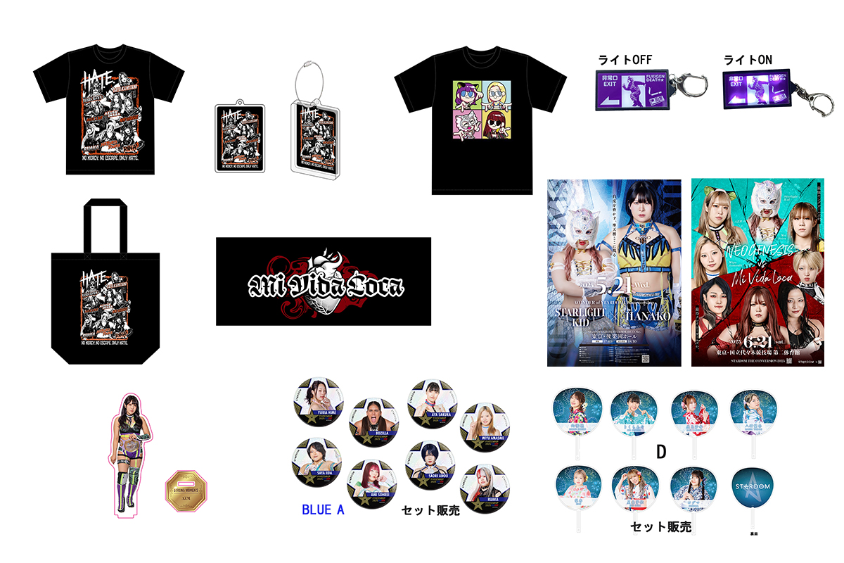 スターダム STARDOM 2023年 ひめか引退興行 VIP特典 限定ポスター Amazon.co.jp: 出品??引退??スターダムひめか引退試合ポスター