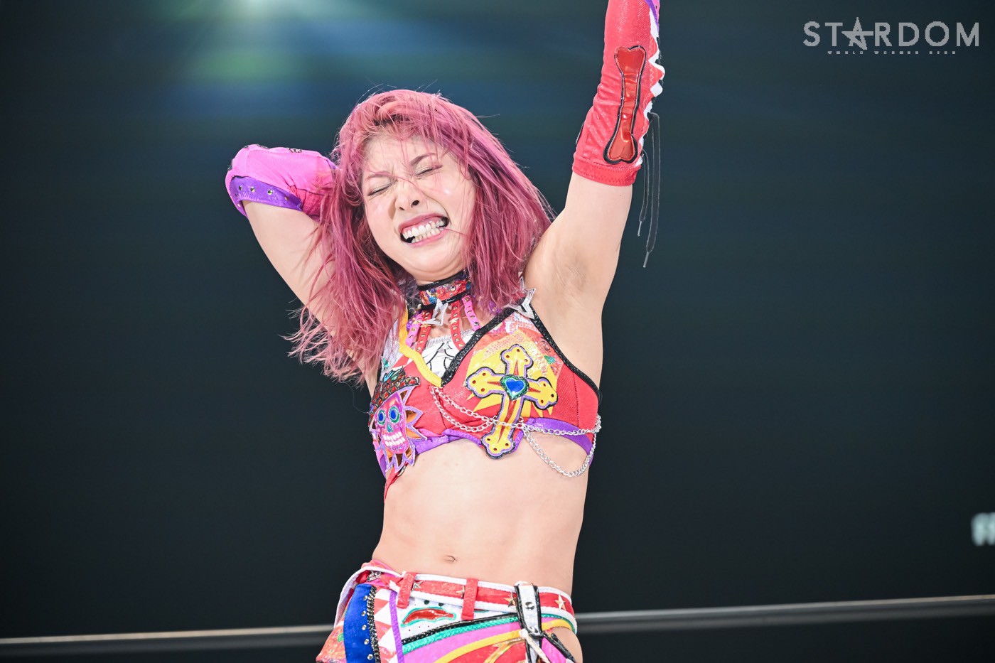 【新品未開封】向後桃 等身大タペストリー 2026 STARDOM スターダム 新品未開封】向後桃 等身大タペストリー 2026 STARDOM スターダム