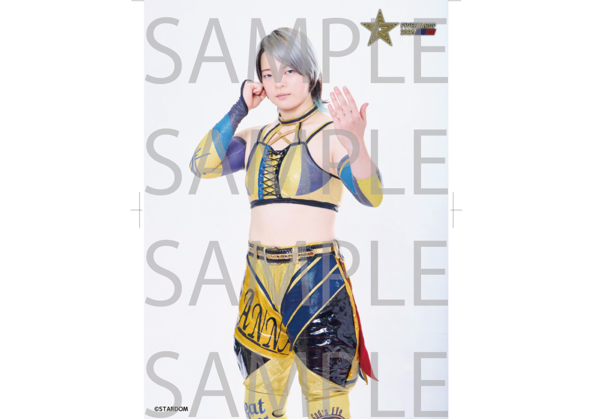 紫雷イオ ワールド・オブ・スターダム タイトル戦闘史 DVD Amazon.co.jp: ワールド・オブ・スターダム タイトル戦闘史 [DVD