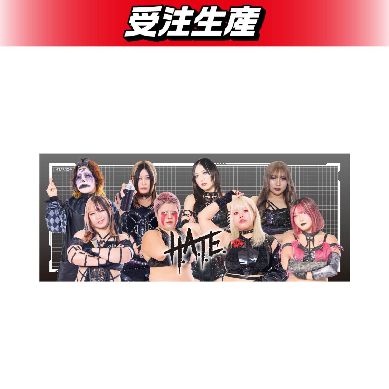 STARDOM DMMオンクレ スターライトキッド セット STARDOM DMMオンクレ スターライトキッド セット STARDOM DMM