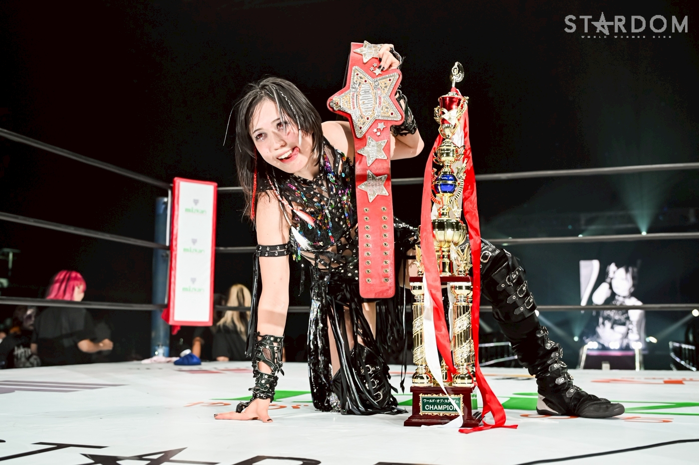 スターダム ☆ ガイドブック 直筆サイン入り ☆ 紫雷イオ 岩谷麻優 宝城カイリ STARDOM スターダム Bikiniing 岩谷麻優 宝城カイリ 直筆サイン