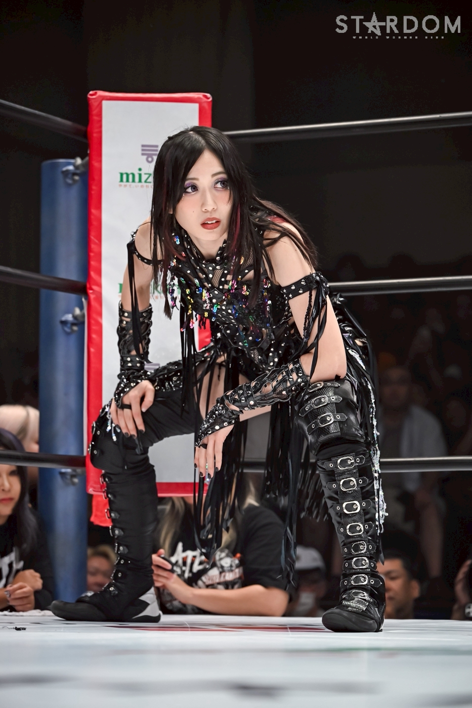 希望額言って下さいそれに合わせますスターチーム36 希望額言って下さいそれに合わせますスターチーム36 starteam