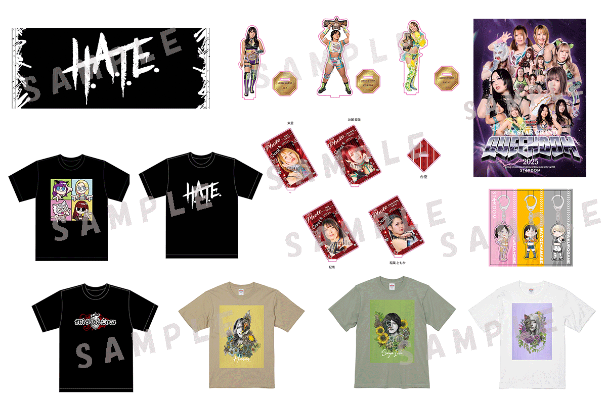 【美品】STARDOM スターダム DDM ドンナデルモンド パーカー 2020 HTML03 HTML ZERO3×STARDOM パーカー ジップアップ スターダム
