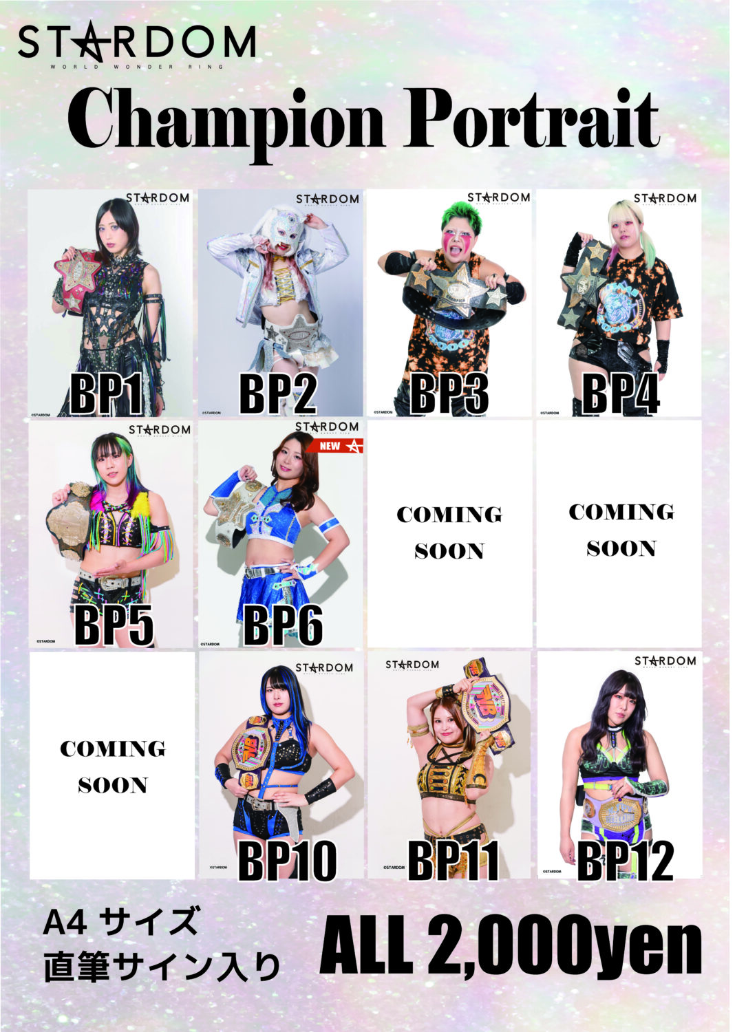 スターダム　オフィシャルDVD コレクション　3枚セット スターダム オフィシャルDVD コレクション 3枚セット スターダム