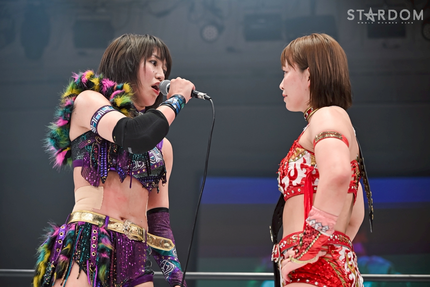 Sareeeがアレックス・ウィンザーを破りIWGP女子王座防衛！Sareee vs