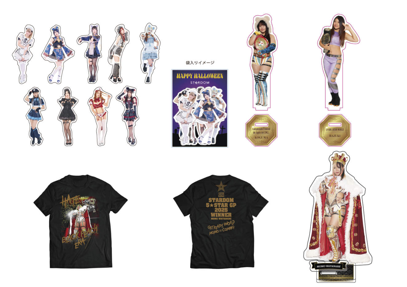 少女時代　into the World ポスター　サイン入り 少女時代 into the World ポスター サイン入り Amazon.co.jp