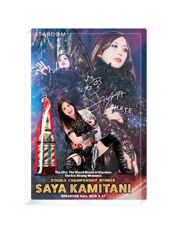 新商品】第35代アーティスト・オブ・スターダム/第13代フューチャー 新商品】第35代アーティスト・オブ・スターダム/第13代フューチャー