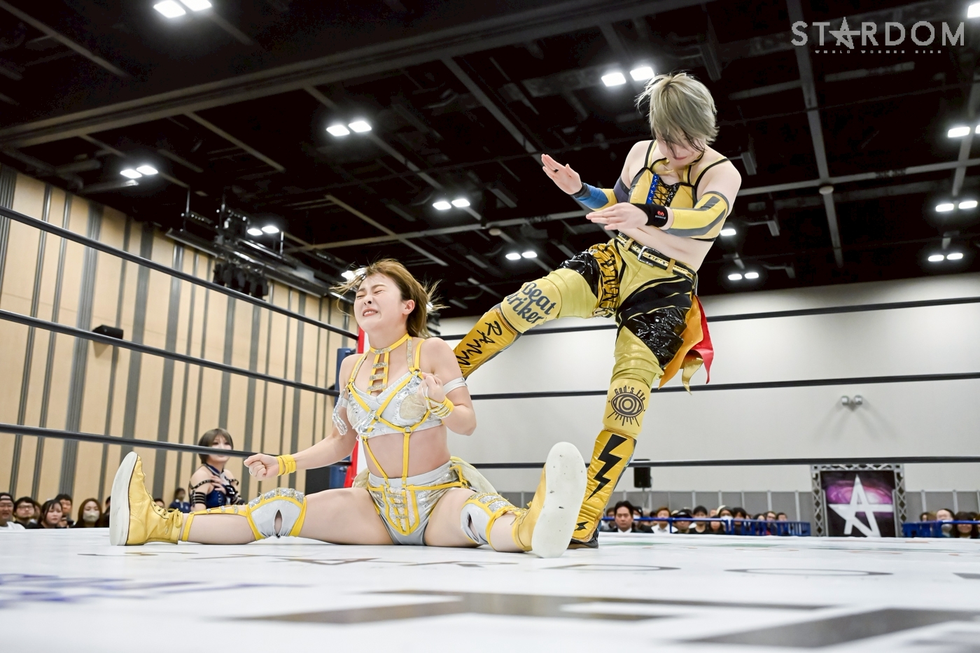 か*ず様 23 24FREEDOM SLS 25.5 タグ付き 試着のみ Tarmac Build