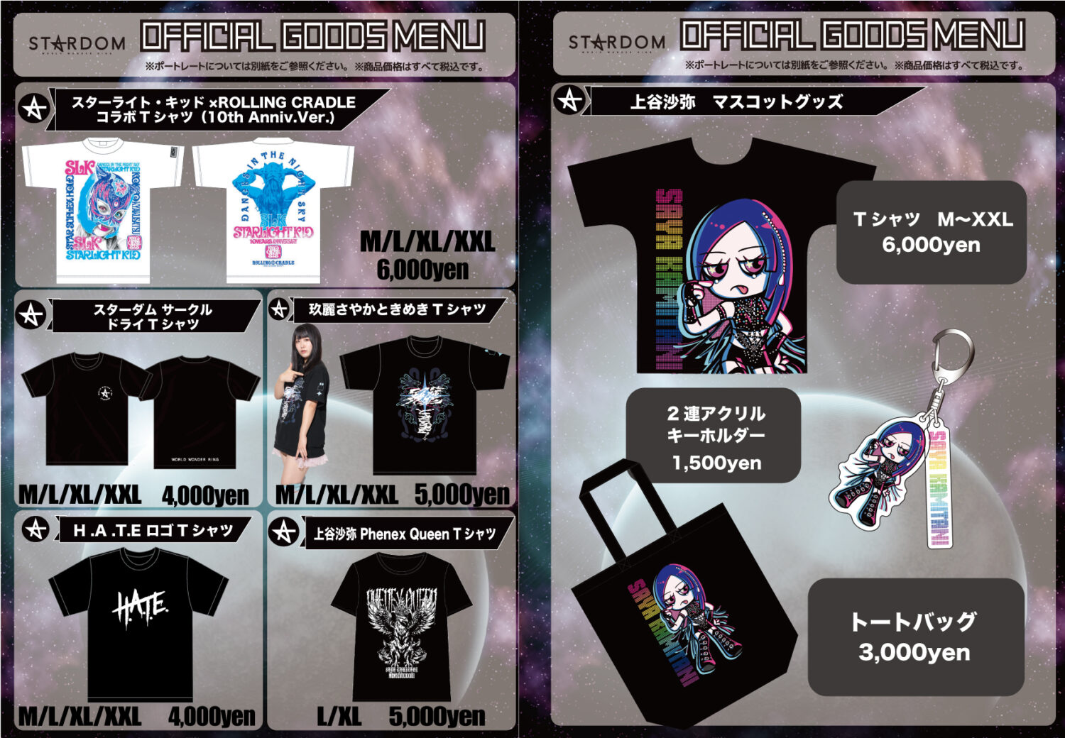 受注開始】等身大タペストリー クリスマス/ビジュアルタオル