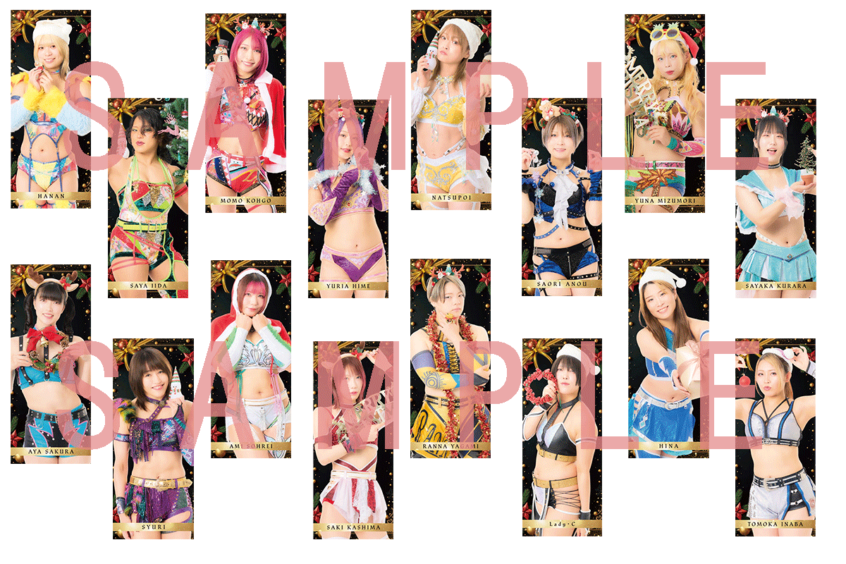 受注開始】等身大タペストリー クリスマス/ビジュアルタオル