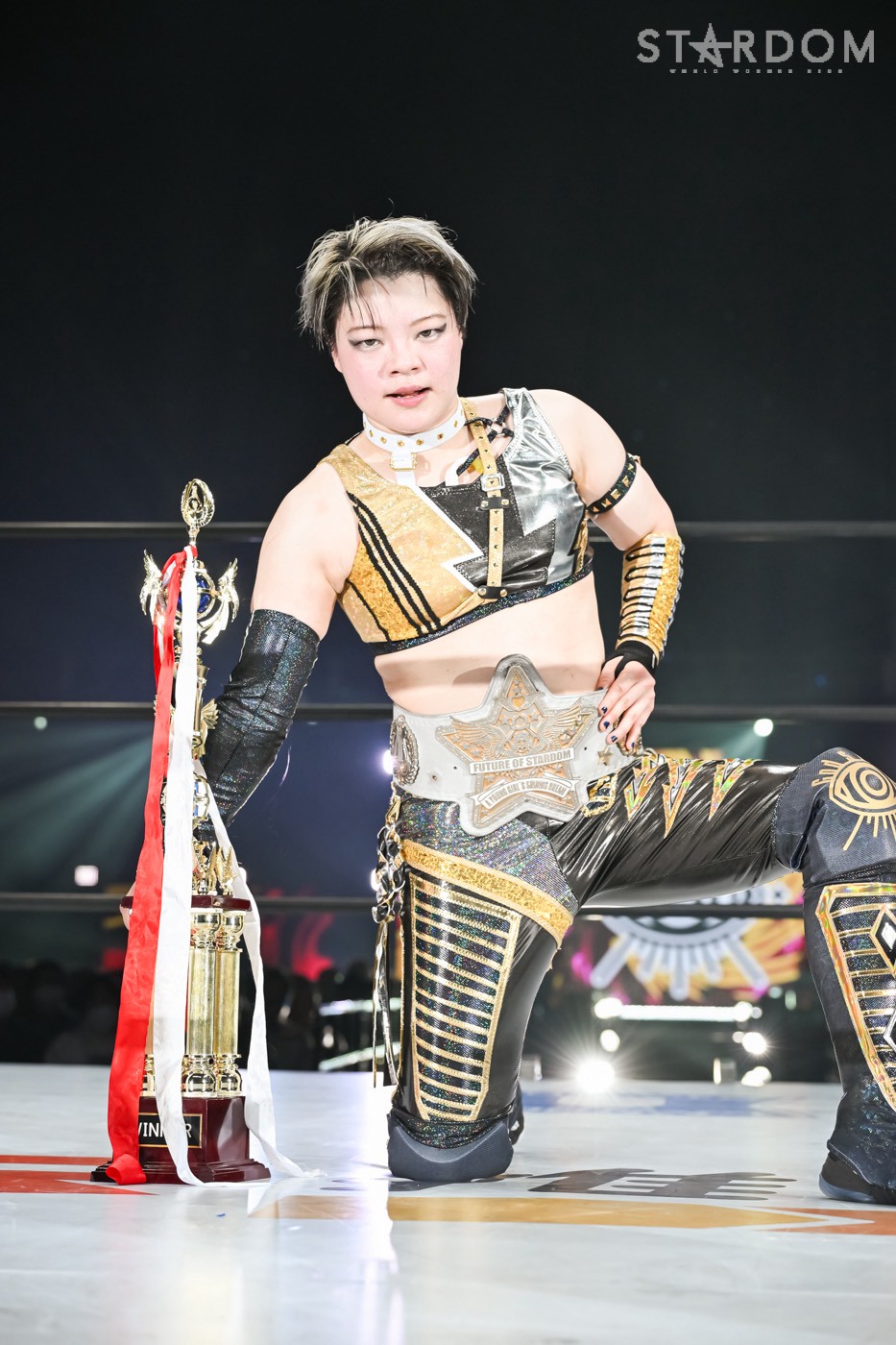 https://wwr-stardom.com/wp/wp-content/uploads/2026/03/LINE_ALBUM_20260315%E6%A8%AA%E6%B5%9C%E6%AD%A6%E9%81%93%E9%A4%A8_260315_5.jpg