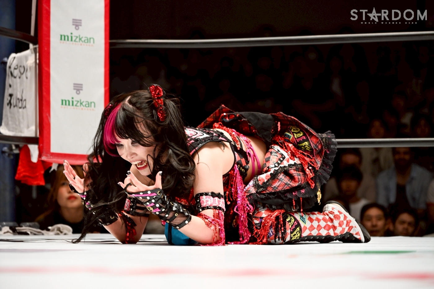 5月30日（土）神戸大会 全対戦カード決定！ | ニュース | スターダム