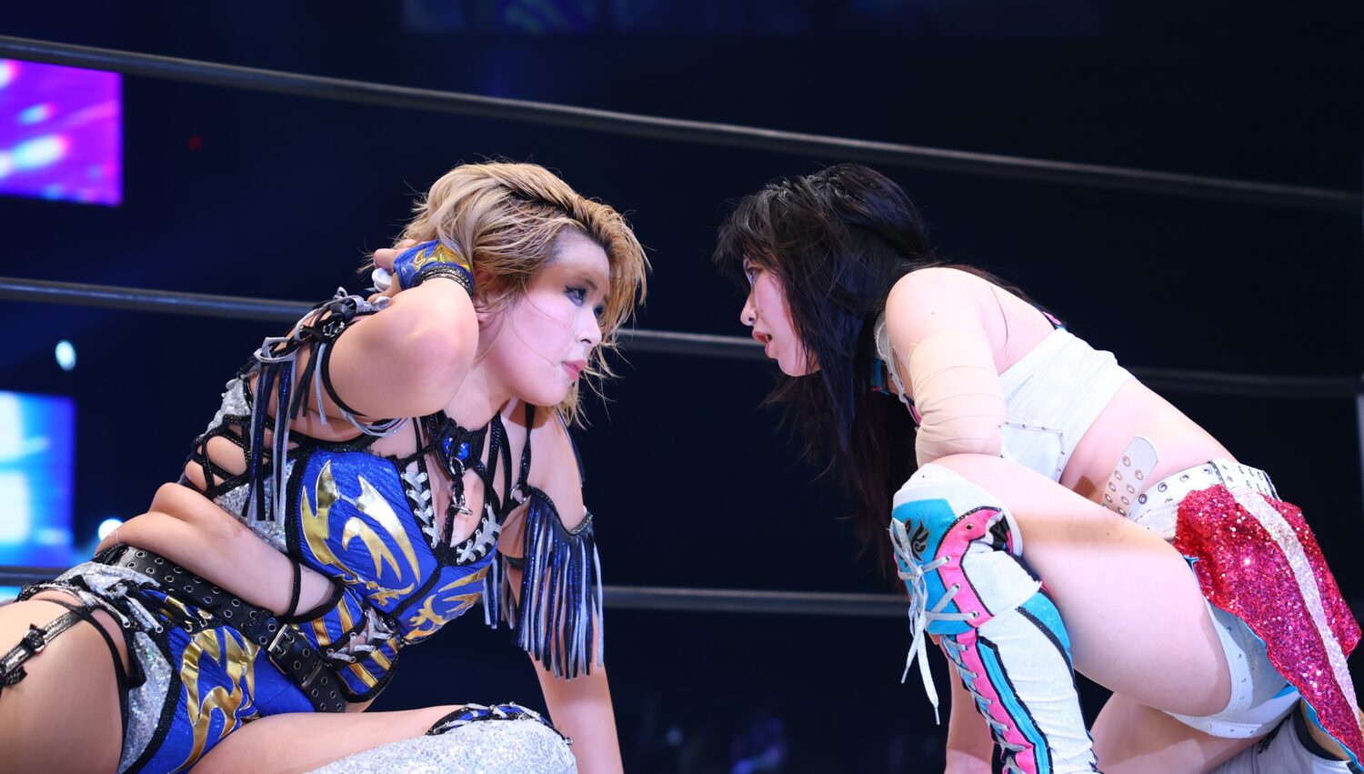 発掘品✨ 安納サオリ 中野たむ ポートレート③ 女子プロレス STARDOM 第33代 中野たむ＆なつぽい＆安納サオリ | スターダム✪STARDOM