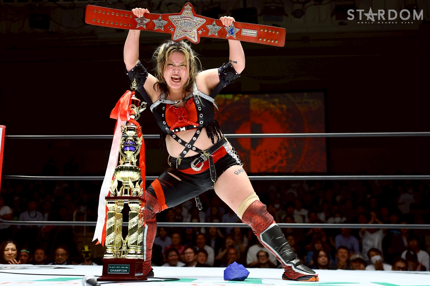 スターダム✪STARDOM | 明るく、激しく、新しく、そして美しく！輝く